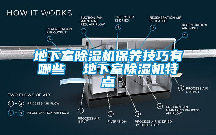 地下室除濕機(jī)保養(yǎng)技巧有哪些  地下室除濕機(jī)特點(diǎn)