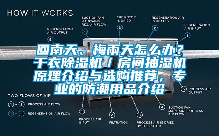 回南天、梅雨天怎么辦？干衣除濕機(jī)／房間抽濕機(jī)原理介紹與選購(gòu)?fù)扑]，專業(yè)的防潮用品介紹