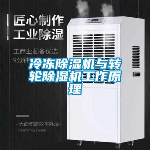 冷凍除濕機與轉輪除濕機工作原理