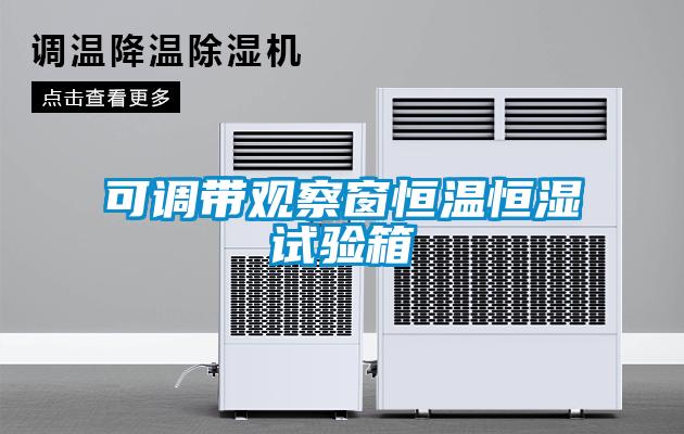 可調(diào)帶觀察窗恒溫恒濕試驗箱