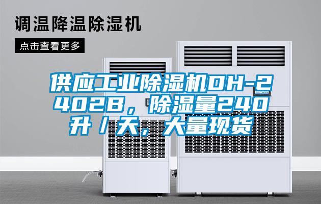 供應工業除濕機DH-2402B，除濕量240升／天，大量現貨