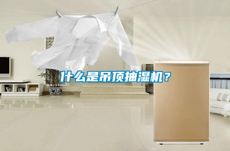 什么是吊頂抽濕機？