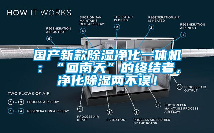 國產(chǎn)新款除濕凈化一體機：“回南天”的終結者，凈化除濕兩不誤！