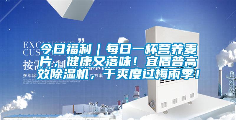 今日福利｜每日一杯營(yíng)養(yǎng)麥片，健康又落味！宜盾普高效除濕機(jī)，干爽度過(guò)梅雨季！