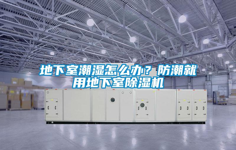 地下室潮濕怎么辦？防潮就用地下室除濕機