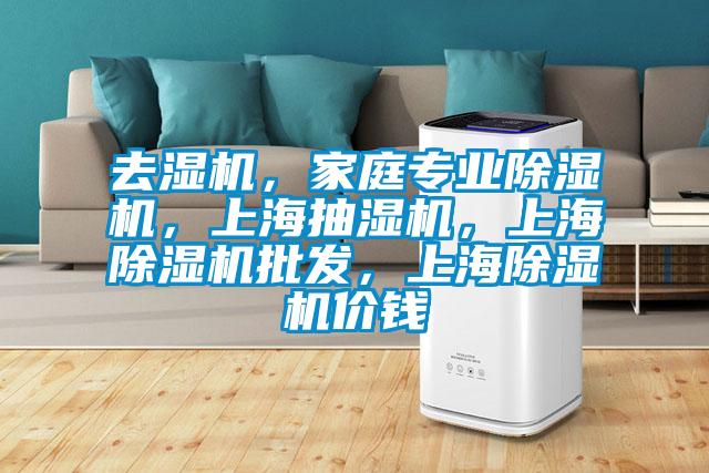 去濕機，家庭專業除濕機，上海抽濕機，上海除濕機批發，上海除濕機價錢