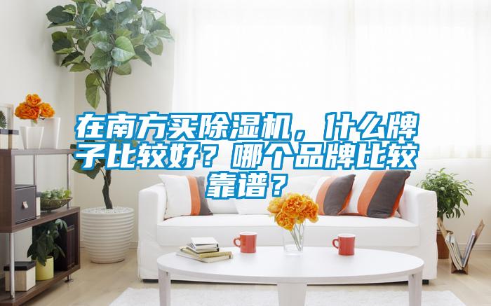 在南方買除濕機，什么牌子比較好？哪個品牌比較靠譜？
