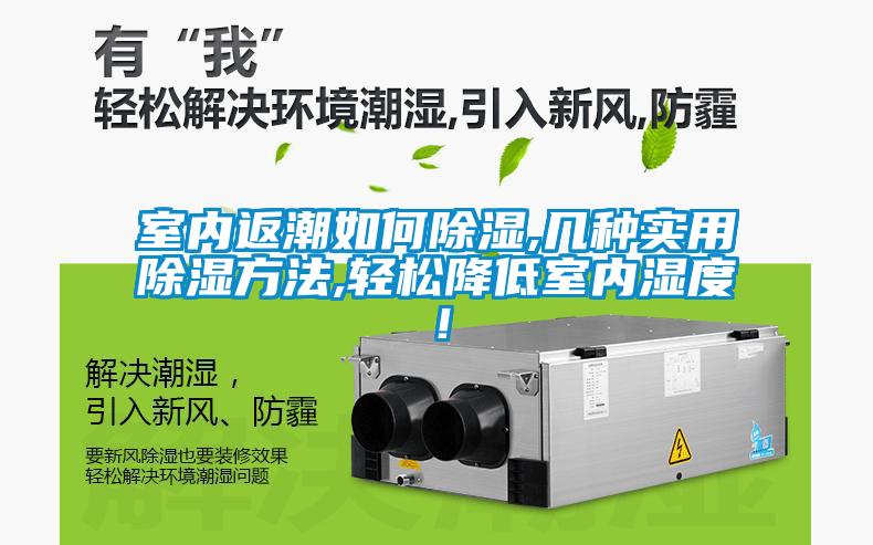 室內返潮如何除濕,幾種實用除濕方法,輕松降低室內濕度！