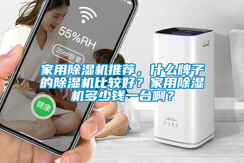 家用除濕機推薦，什么牌子的除濕機比較好？家用除濕機多少錢一臺啊？