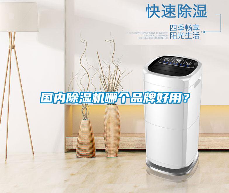 國內(nèi)除濕機哪個品牌好用？