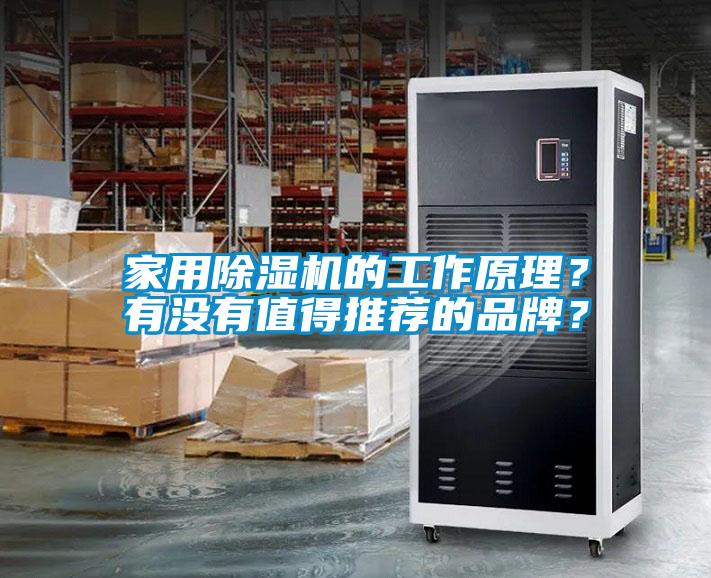 家用除濕機的工作原理？有沒有值得推薦的品牌？