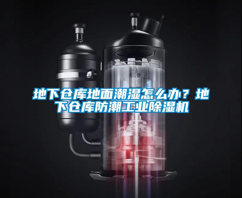 地下倉庫地面潮濕怎么辦？地下倉庫防潮工業(yè)除濕機