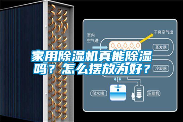 家用除濕機真能除濕嗎？怎么擺放為好？