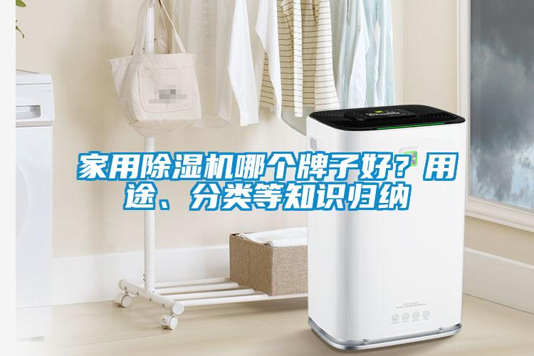 家用除濕機哪個牌子好？用途、分類等知識歸納