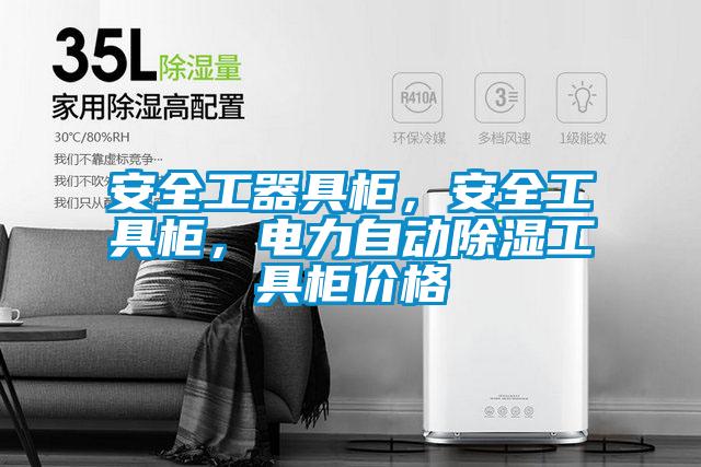 安全工器具柜，安全工具柜，電力自動(dòng)除濕工具柜價(jià)格