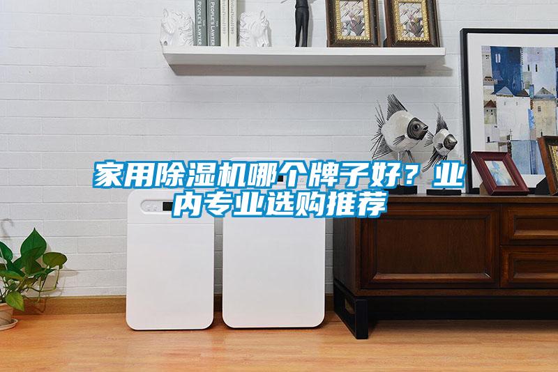 家用除濕機哪個牌子好？業(yè)內專業(yè)選購推薦