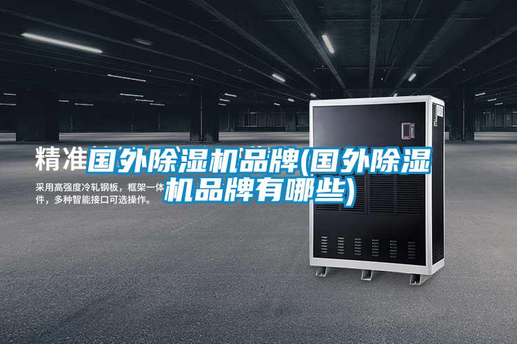 國(guó)外除濕機(jī)品牌(國(guó)外除濕機(jī)品牌有哪些)