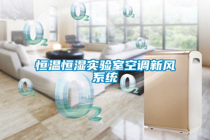 恒溫恒濕實驗室空調(diào)新風系統(tǒng)
