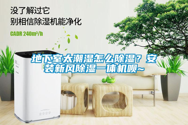 地下室太潮濕怎么除濕？安裝新風(fēng)除濕一體機(jī)唄~