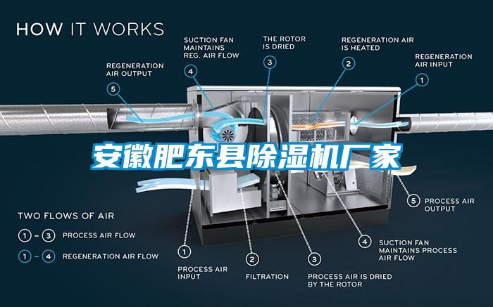 安徽肥東縣除濕機(jī)廠家