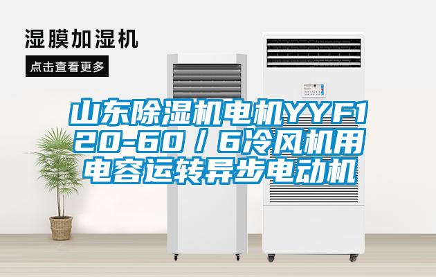 山東除濕機電機YYF120-60／6冷風(fēng)機用電容運轉(zhuǎn)異步電動機