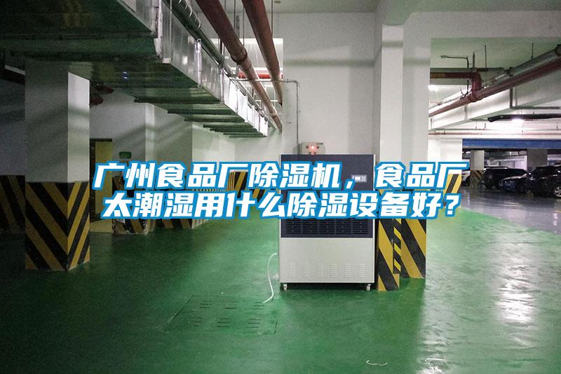 廣州食品廠除濕機，食品廠太潮濕用什么除濕設備好？