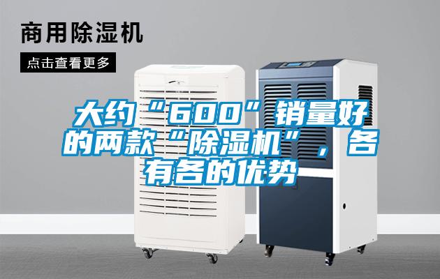 大約“600”銷量好的兩款“除濕機”，各有各的優勢