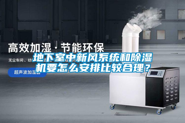 地下室中新風系統(tǒng)和除濕機要怎么安排比較合理？