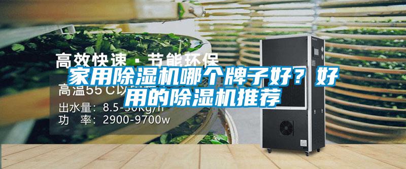 家用除濕機哪個牌子好？好用的除濕機推薦