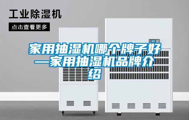 家用抽濕機哪個牌子好—家用抽濕機品牌介紹