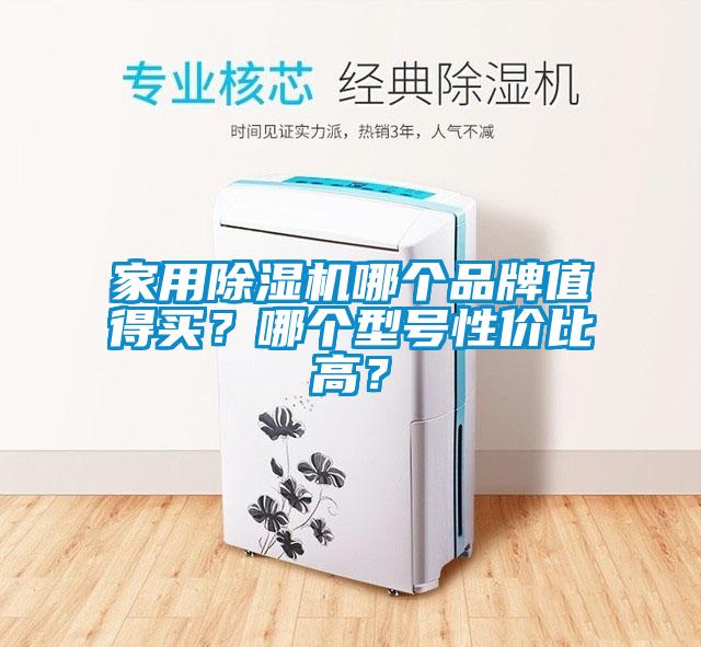 家用除濕機哪個品牌值得買？哪個型號性價比高？