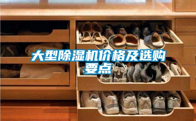 大型除濕機(jī)價格及選購要點