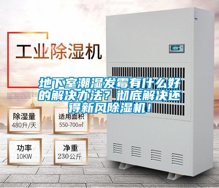 地下室潮濕發霉有什么好的解決辦法？徹底解決還得新風除濕機！