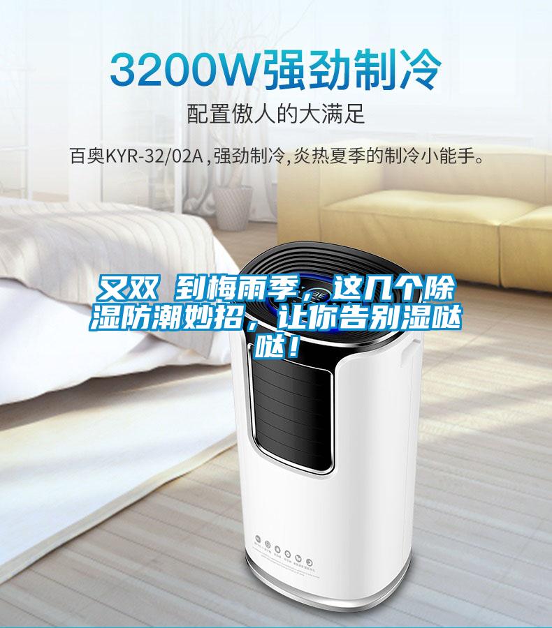 又雙叒到梅雨季，這幾個(gè)除濕防潮妙招，讓你告別濕噠噠！