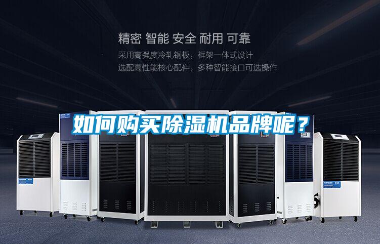 如何購(gòu)買(mǎi)除濕機(jī)品牌呢？