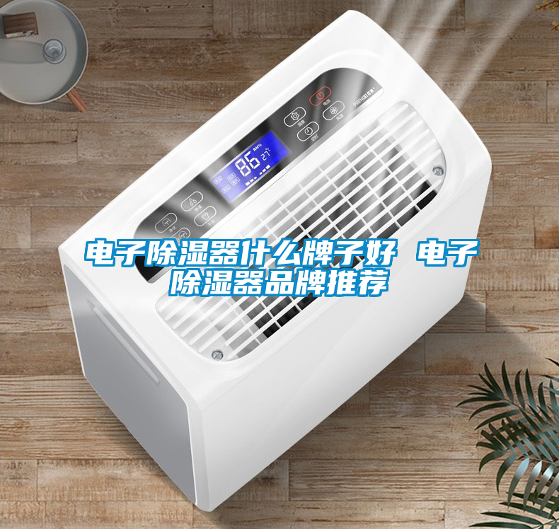 電子除濕器什么牌子好 電子除濕器品牌推薦