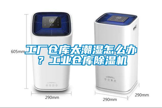 工廠(chǎng)倉(cāng)庫(kù)太潮濕怎么辦？工業(yè)倉(cāng)庫(kù)除濕機(jī)