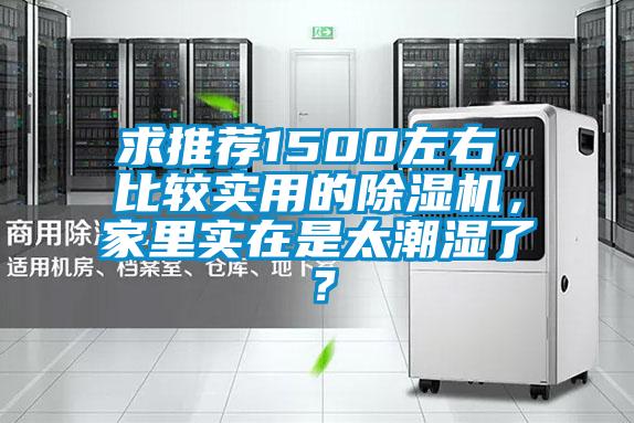 求推薦1500左右，比較實用的除濕機，家里實在是太潮濕了？