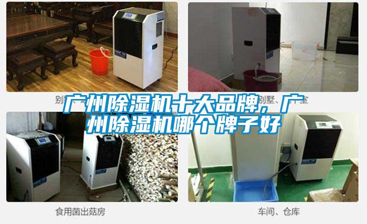 廣州除濕機(jī)十大品牌，廣州除濕機(jī)哪個牌子好