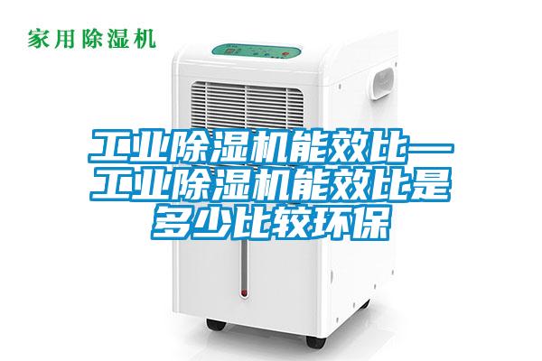 工業(yè)除濕機能效比—工業(yè)除濕機能效比是多少比較環(huán)保