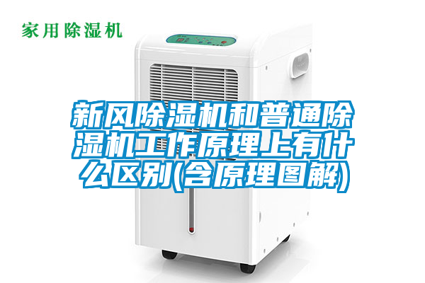 新風除濕機和普通除濕機工作原理上有什么區別(含原理圖解)