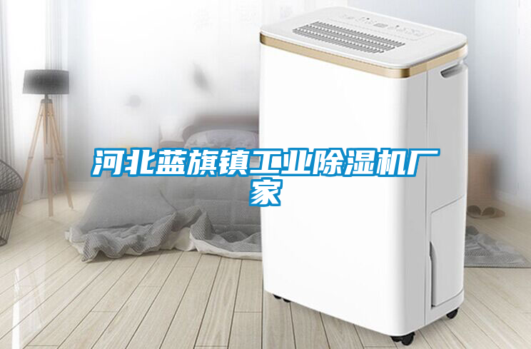 河北藍(lán)旗鎮(zhèn)工業(yè)除濕機廠家