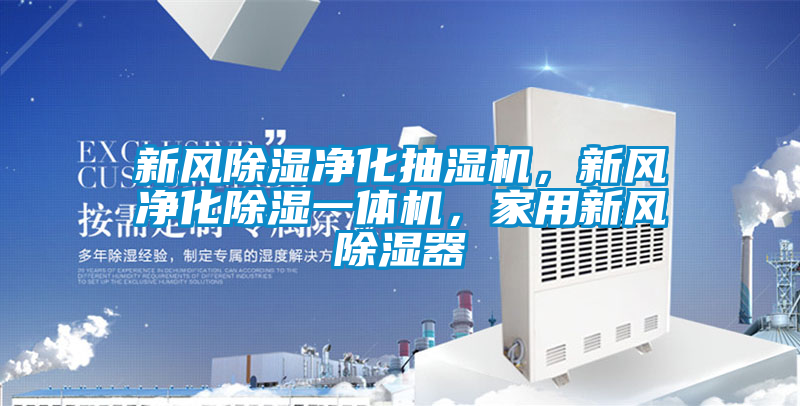 新風除濕凈化抽濕機，新風凈化除濕一體機，家用新風除濕器