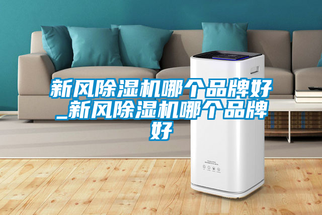 新風除濕機哪個品牌好_新風除濕機哪個品牌好