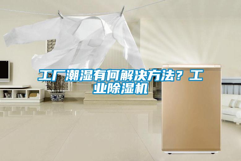 工廠潮濕有何解決方法？工業除濕機