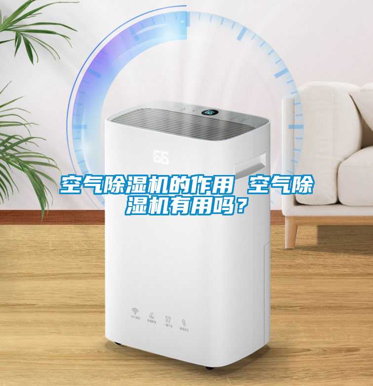 空氣除濕機的作用 空氣除濕機有用嗎？