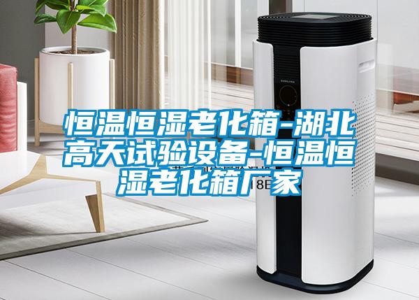 恒溫恒濕老化箱-湖北高天試驗設(shè)備-恒溫恒濕老化箱廠家