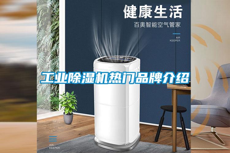 工業(yè)除濕機(jī)熱門品牌介紹