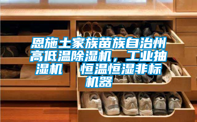 恩施土家族苗族自治州高低溫除濕機(jī)，工業(yè)抽濕機(jī)  恒溫恒濕非標(biāo)機(jī)器