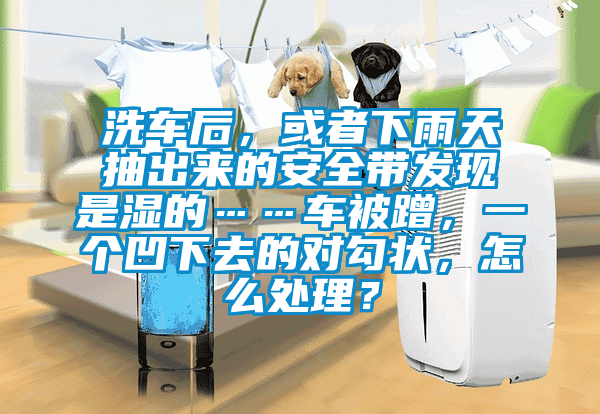 洗車后，或者下雨天抽出來的安全帶發現是濕的……車被蹭，一個凹下去的對勾狀，怎么處理？